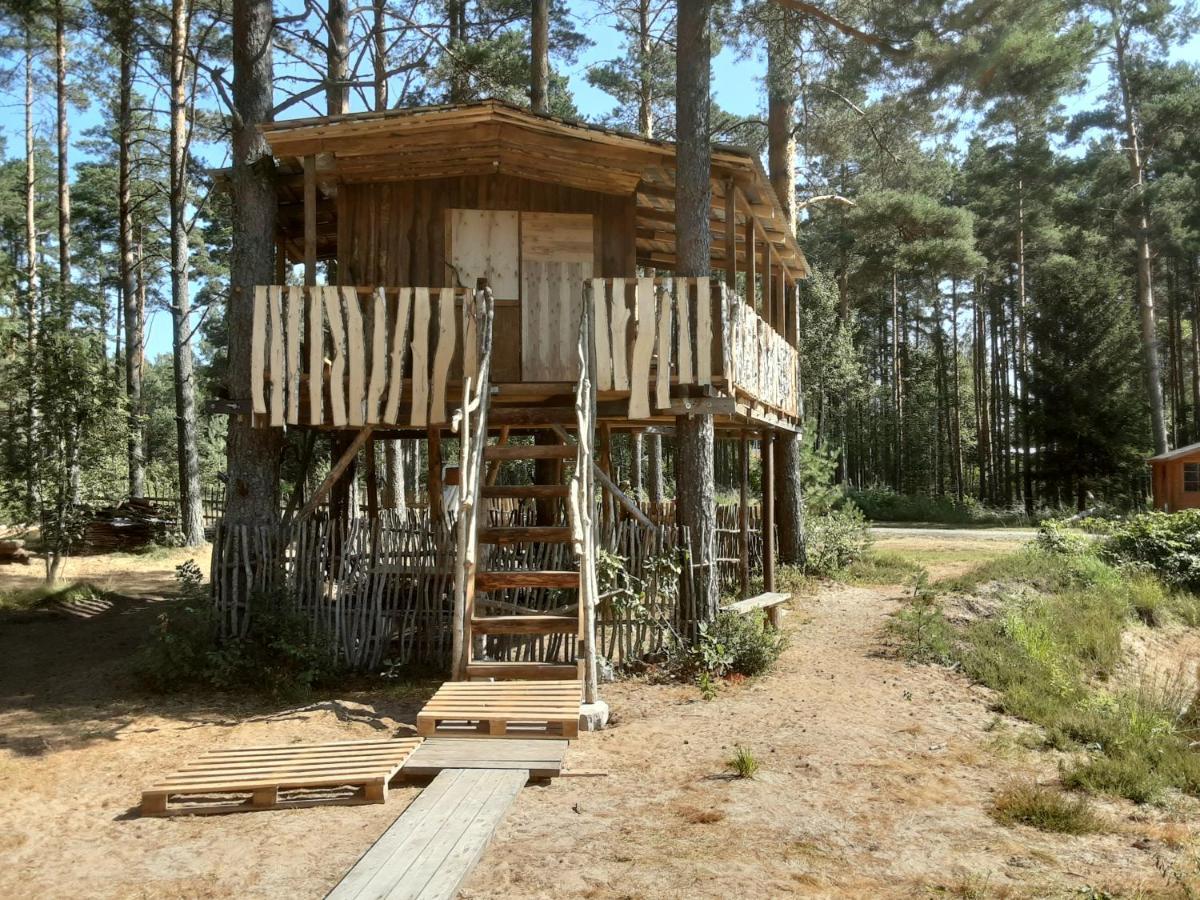 Lohusuu Elulong Camping מראה חיצוני תמונה