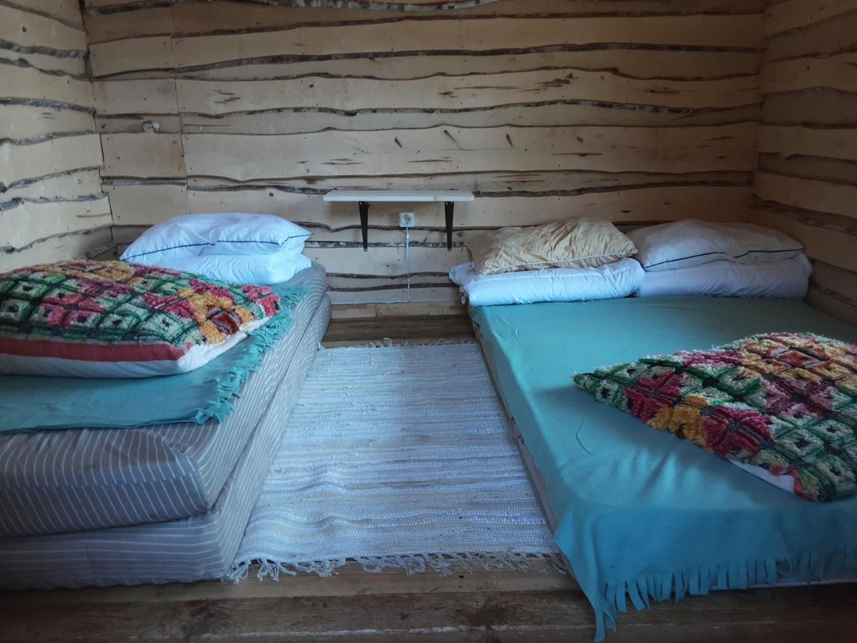 Lohusuu Elulong Camping מראה חיצוני תמונה