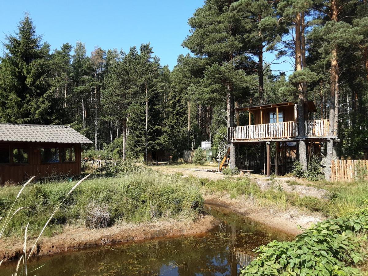 Lohusuu Elulong Camping מראה חיצוני תמונה